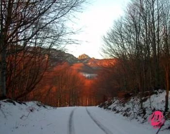 La penna rossa  I colori dell'anima